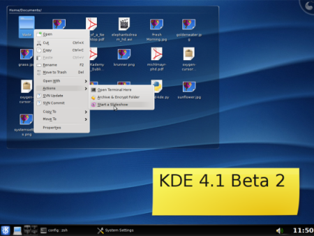 KDE 4.1 BETA 2